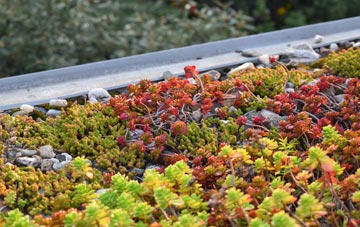 the cost of Gorstey Ley green roof installation