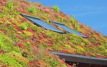 Gorstey Ley living roof systems